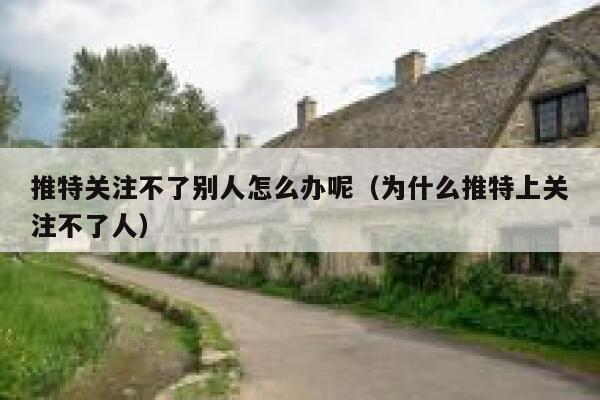 推特关注不了别人怎么办呢（为什么推特上关注不了人） 第1张