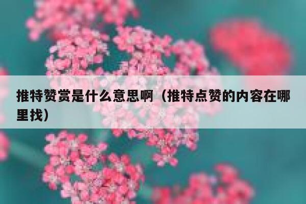 推特赞赏是什么意思啊（推特点赞的内容在哪里找） 第1张