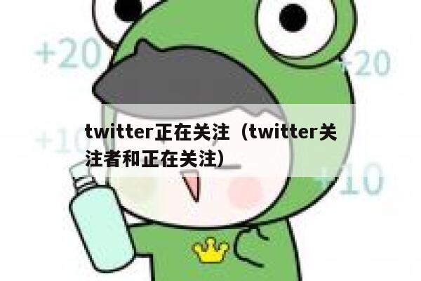 twitter正在关注（twitter关注者和正在关注） 第1张