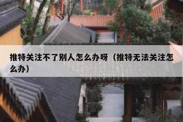 推特关注不了别人怎么办呀（推特无法关注怎么办） 第1张