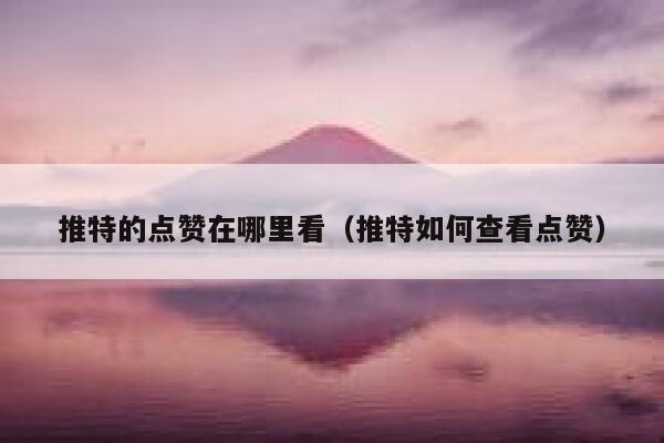 推特的点赞在哪里看（推特如何查看点赞） 第1张