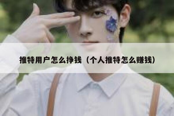 推特用户怎么挣钱（个人推特怎么赚钱） 第1张