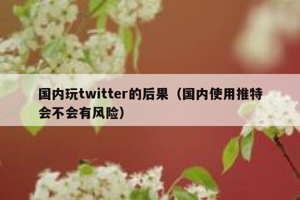 国内玩twitter的后果（国内使用推特会不会有风险） 第1张