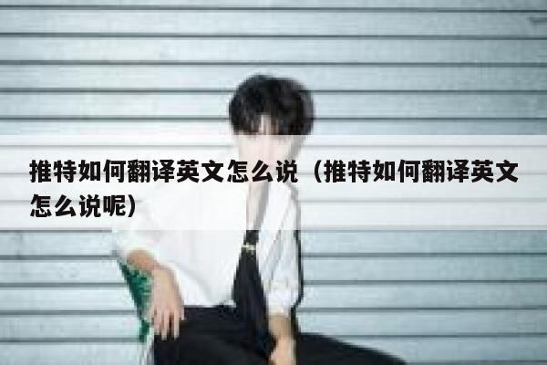 推特如何翻译英文怎么说（推特如何翻译英文怎么说呢） 第1张