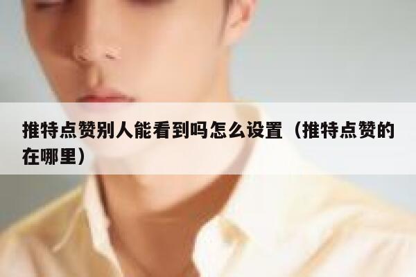 推特点赞别人能看到吗怎么设置（推特点赞的在哪里） 第1张