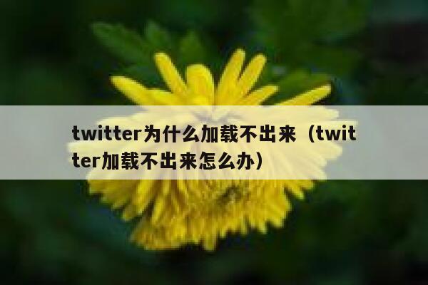 twitter为什么加载不出来（twitter加载不出来怎么办） 第1张