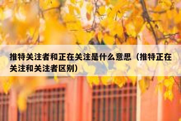 推特关注者和正在关注是什么意思（推特正在关注和关注者区别） 第1张