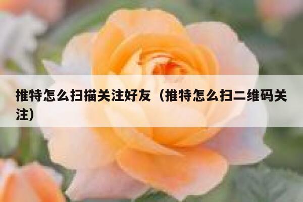 推特怎么扫描关注好友（推特怎么扫二维码关注） 第1张