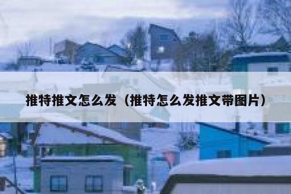 推特推文怎么发（推特怎么发推文带图片） 第1张