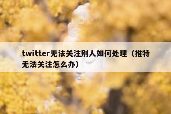 twitter无法关注别人如何处理（推特无法关注怎么办） 第1张
