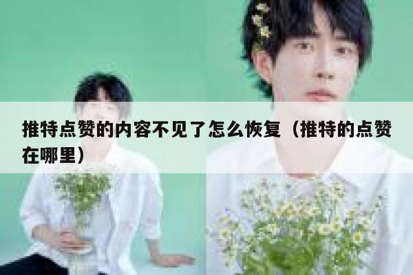 推特点赞的内容不见了怎么恢复（推特的点赞在哪里） 第1张