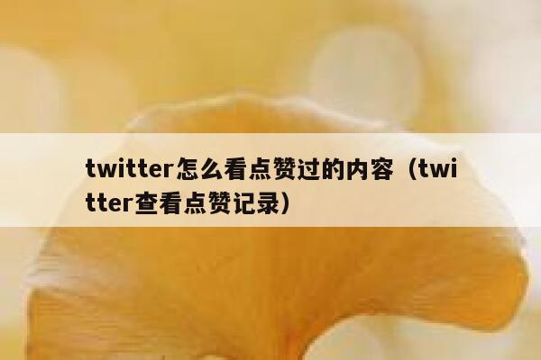 twitter怎么看点赞过的内容（twitter查看点赞记录） 第1张