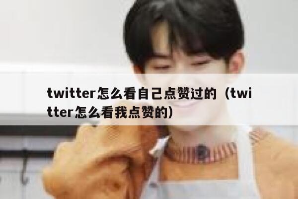 twitter怎么看自己点赞过的（twitter怎么看我点赞的） 第1张