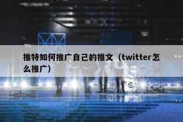 推特如何推广自己的推文（twitter怎么推广） 第1张