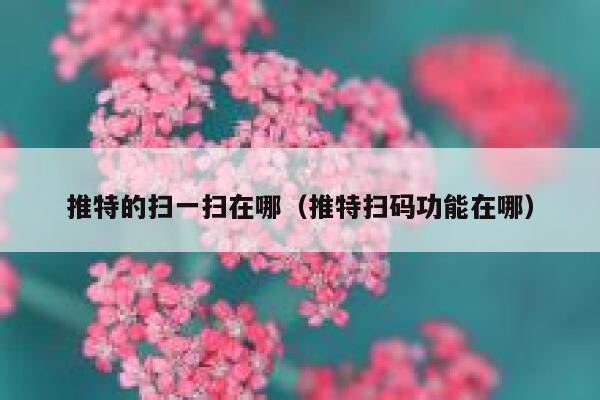 推特的扫一扫在哪（推特扫码功能在哪） 第1张