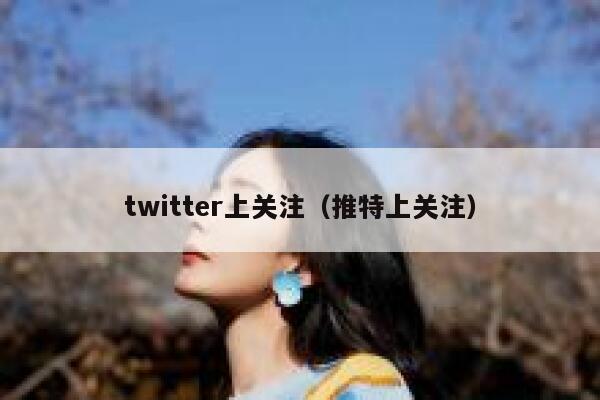 twitter上关注(推特上关注) 第1张 twitter上关注(推特上关注) 第1张