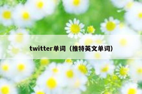 twitter单词（推特英文单词） 第1张