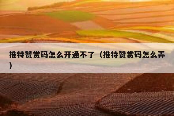 推特赞赏码怎么开通不了（推特赞赏码怎么弄） 第1张