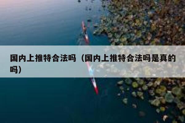 国内上推特合法吗（国内上推特合法吗是真的吗） 第1张