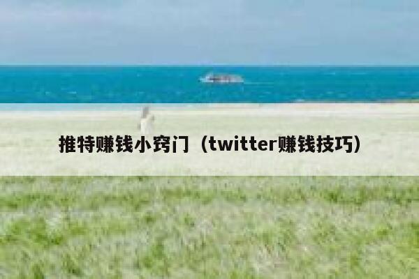 推特赚钱小窍门(twitter赚钱技巧) 第1张 推特赚钱小窍门(twitter赚钱技巧) 第1张