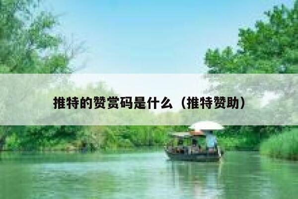 推特的赞赏码是什么(推特赞助) 第1张 推特的赞赏码是什么(推特赞助) 第1张