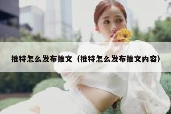 推特怎么发布推文（推特怎么发布推文内容） 第1张