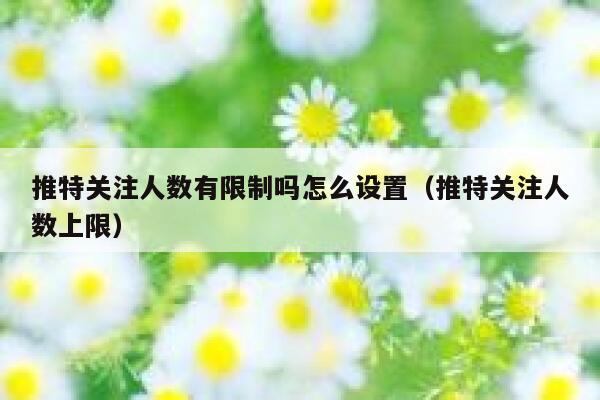 推特关注人数有限制吗怎么设置（推特关注人数上限） 第1张