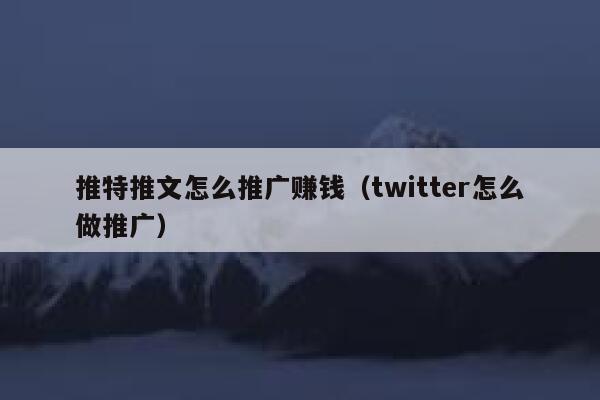 推特推文怎么推广赚钱（twitter怎么做推广） 第1张