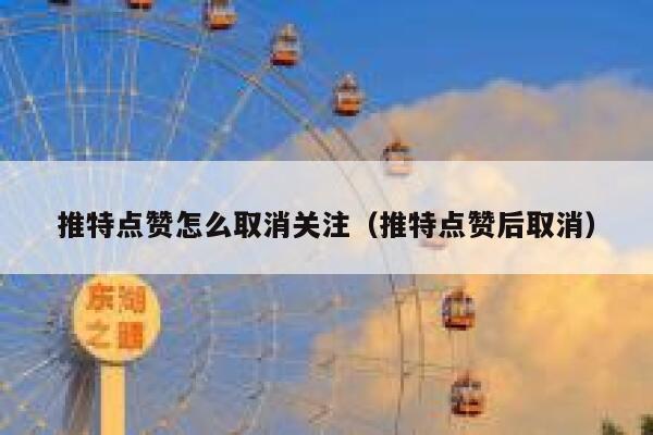 推特点赞怎么取消关注（推特点赞后取消） 第1张