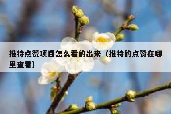 推特点赞项目怎么看的出来（推特的点赞在哪里查看） 第1张