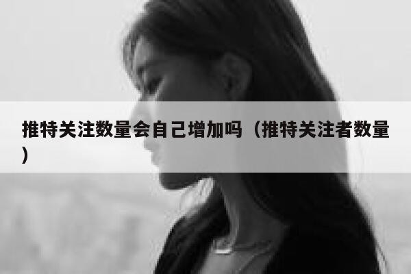 推特关注数量会自己增加吗（推特关注者数量） 第1张