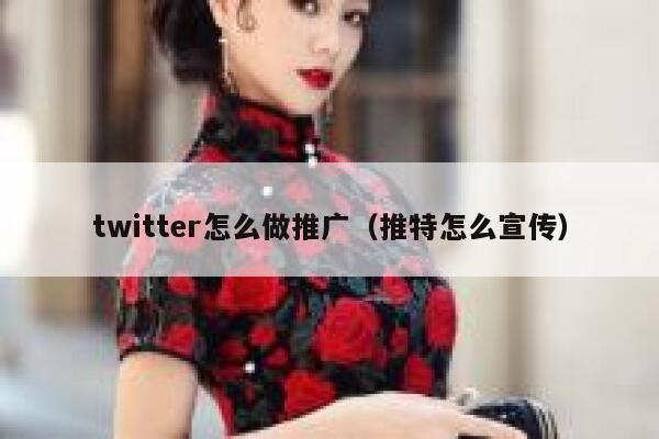 twitter怎么做推广（推特怎么宣传） 第1张