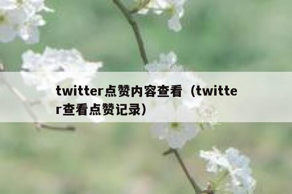 twitter点赞内容查看（twitter查看点赞记录） 第1张