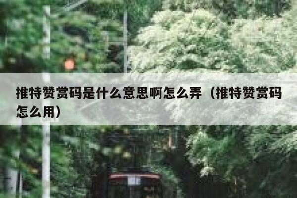 推特赞赏码是什么意思啊怎么弄（推特赞赏码怎么用） 第1张