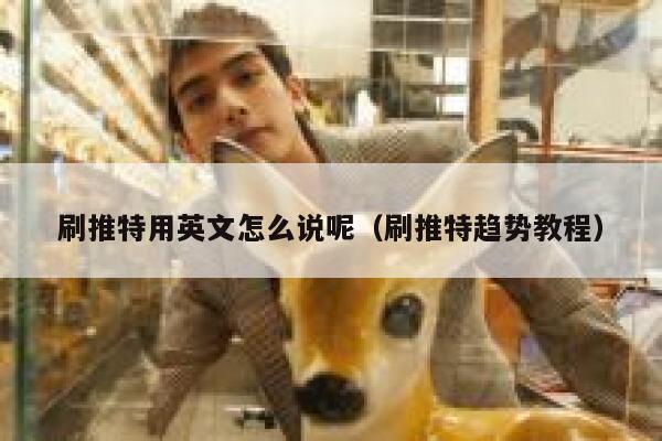 刷推特用英文怎么说呢(刷推特趋势教程) 第1张 刷推特用英文怎么说呢(刷推特趋势教程) 第1张