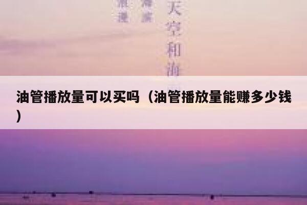 油管播放量可以买吗(油管播放量能赚多少钱) 第1张 油管播放量可以买吗(油管播放量能赚多少钱) 第1张