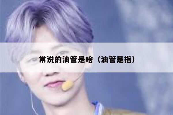 常说的油管是啥(油管是指) 第1张 常说的油管是啥(油管是指) 第1张
