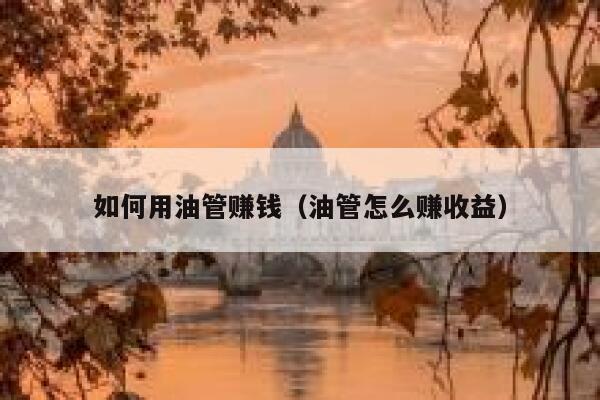 如何用油管赚钱（油管怎么赚收益） 第1张