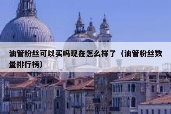 油管粉丝可以买吗现在怎么样了（油管粉丝数量排行榜） 第1张