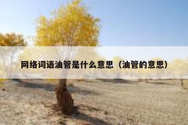 网络词语油管是什么意思（油管的意思） 第1张