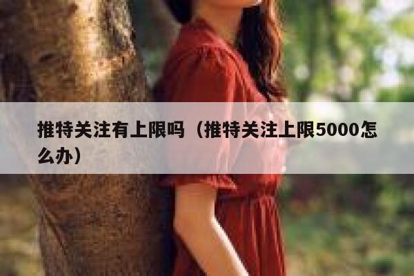 推特关注有上限吗（推特关注上限5000怎么办） 第1张