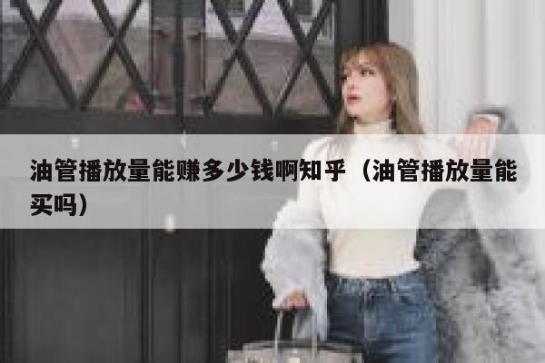 油管播放量能赚多少钱啊知乎（油管播放量能买吗） 第1张