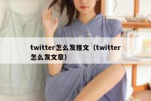 twitter怎么发推文（twitter怎么发文章） 第1张