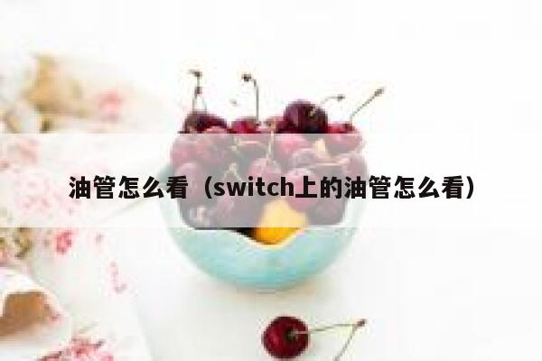 油管怎么看（switch上的油管怎么看） 第1张