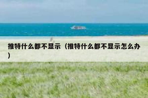 推特什么都不显示（推特什么都不显示怎么办） 第1张