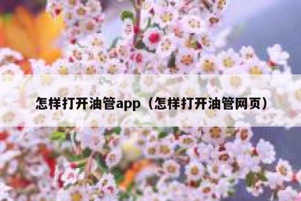 怎样打开油管app（怎样打开油管网页） 第1张