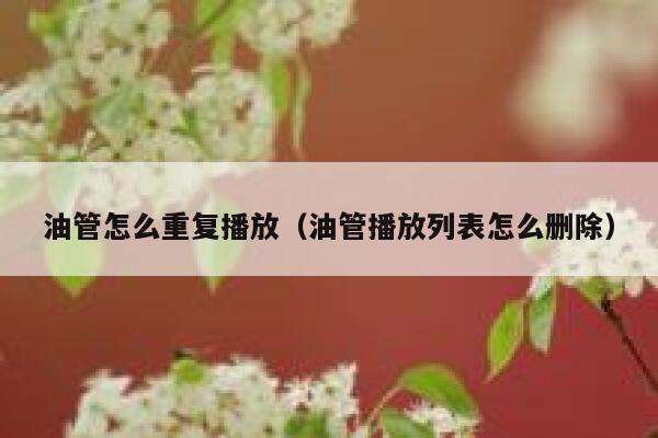 油管怎么重复播放（油管播放列表怎么删除） 第1张