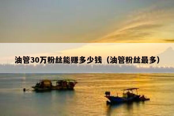 油管30万粉丝能赚多少钱(油管粉丝最多) 第1张 油管30万粉丝能赚多少钱(油管粉丝最多) 第1张