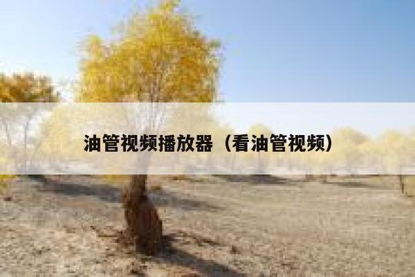 油管视频播放器（看油管视频） 第1张