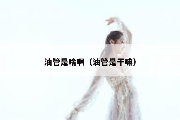 油管是啥啊（油管是干嘛） 第1张